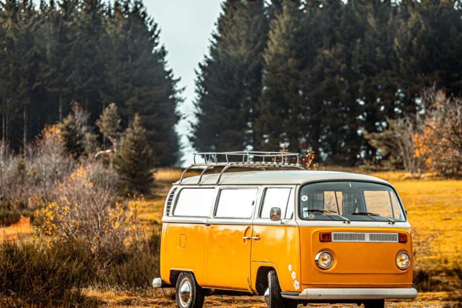 A VW Bus with an orange body and white top sits in a field with orange, mossy grass and bushes on each side.